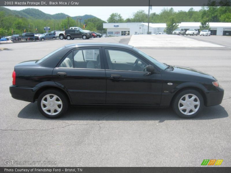Black Mica / Gray 2003 Mazda Protege DX