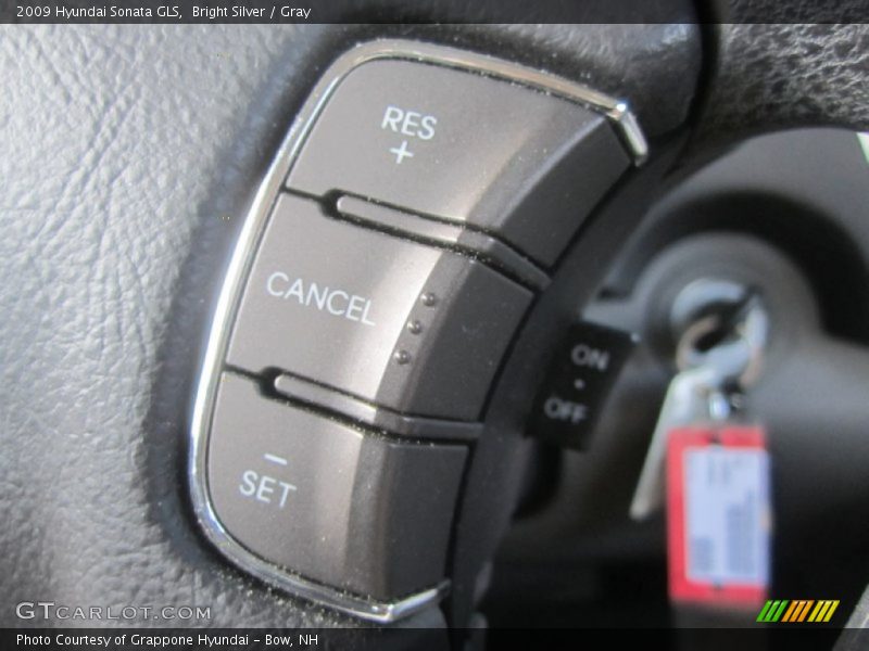 Bright Silver / Gray 2009 Hyundai Sonata GLS