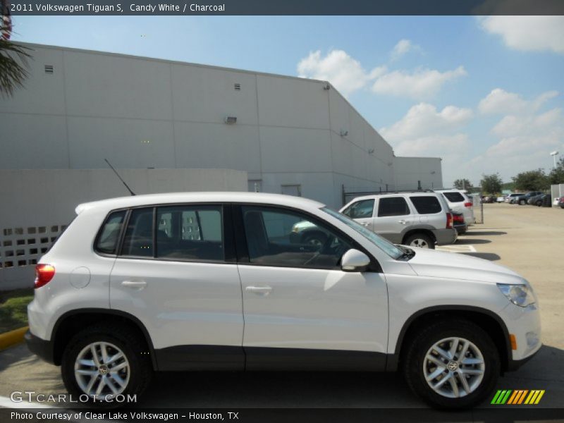 Candy White / Charcoal 2011 Volkswagen Tiguan S