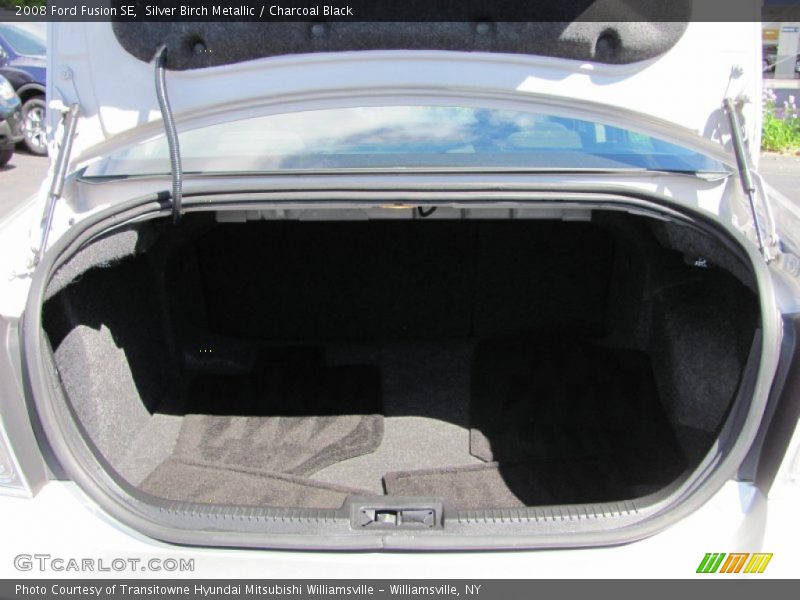 Silver Birch Metallic / Charcoal Black 2008 Ford Fusion SE