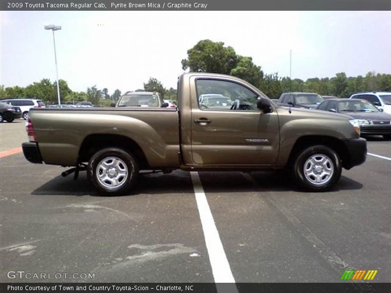 Pyrite Brown Mica / Graphite Gray 2009 Toyota Tacoma Regular Cab