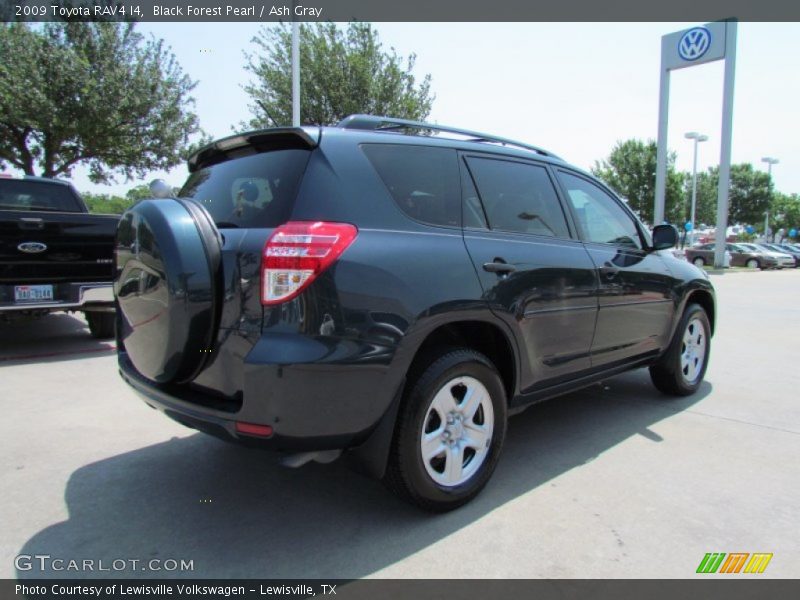 Black Forest Pearl / Ash Gray 2009 Toyota RAV4 I4