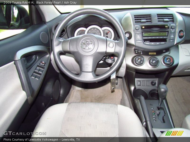 Black Forest Pearl / Ash Gray 2009 Toyota RAV4 I4