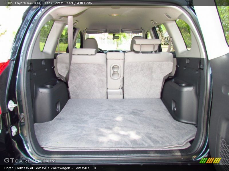 Black Forest Pearl / Ash Gray 2009 Toyota RAV4 I4