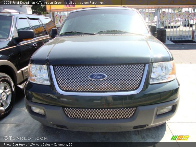Aspen Green Metallic / Medium Parchment 2003 Ford Expedition XLT