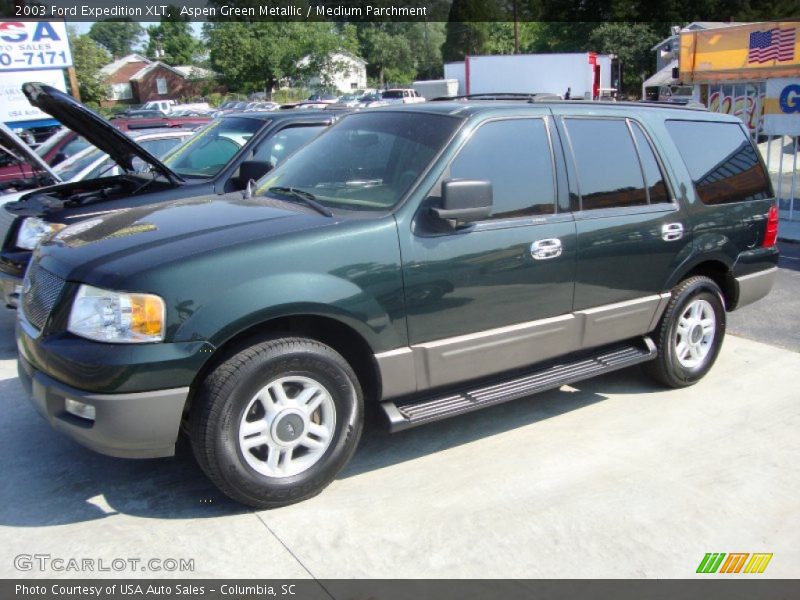 Aspen Green Metallic / Medium Parchment 2003 Ford Expedition XLT