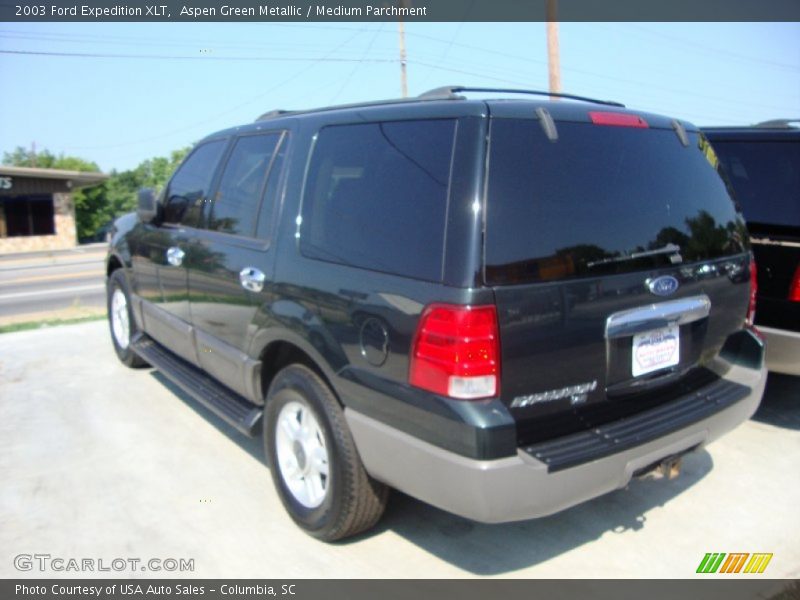 Aspen Green Metallic / Medium Parchment 2003 Ford Expedition XLT