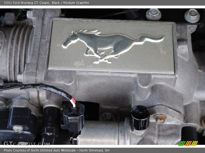Black / Medium Graphite 2001 Ford Mustang GT Coupe