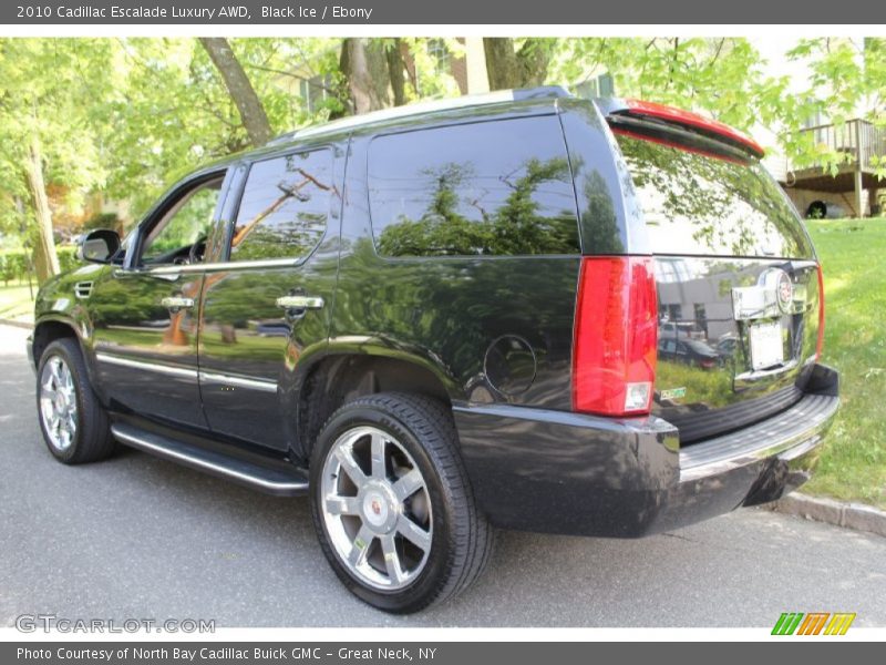 Black Ice / Ebony 2010 Cadillac Escalade Luxury AWD