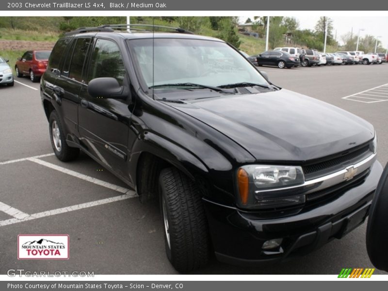 Black / Medium Oak 2003 Chevrolet TrailBlazer LS 4x4