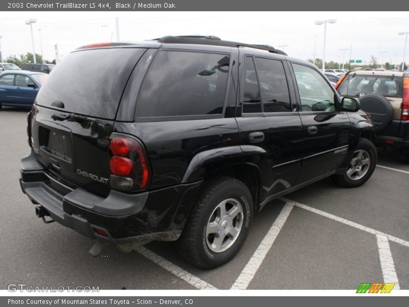 Black / Medium Oak 2003 Chevrolet TrailBlazer LS 4x4