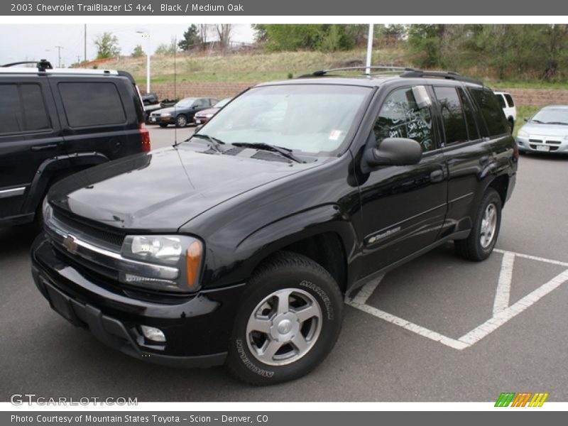 Black / Medium Oak 2003 Chevrolet TrailBlazer LS 4x4