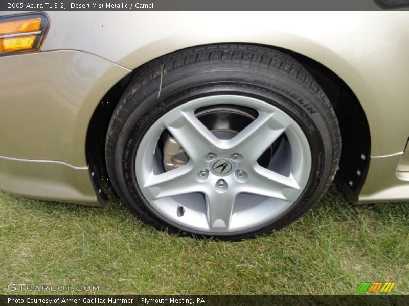 Desert Mist Metallic / Camel 2005 Acura TL 3.2