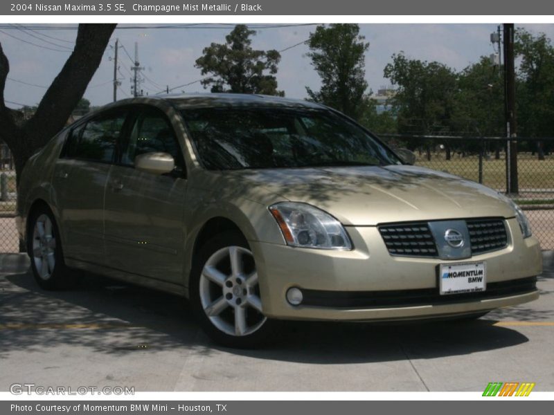 Champagne Mist Metallic / Black 2004 Nissan Maxima 3.5 SE