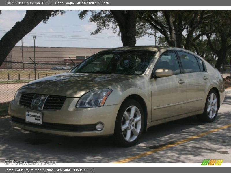Champagne Mist Metallic / Black 2004 Nissan Maxima 3.5 SE