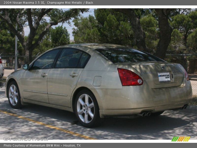Champagne Mist Metallic / Black 2004 Nissan Maxima 3.5 SE
