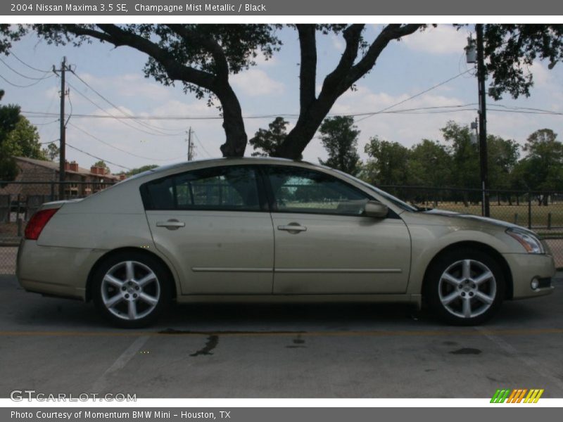 Champagne Mist Metallic / Black 2004 Nissan Maxima 3.5 SE