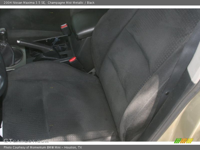 Champagne Mist Metallic / Black 2004 Nissan Maxima 3.5 SE