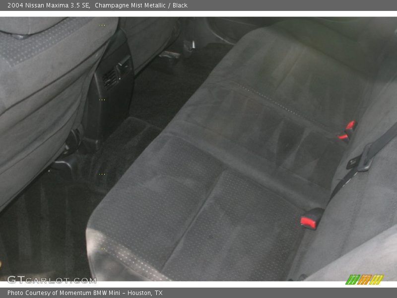 Champagne Mist Metallic / Black 2004 Nissan Maxima 3.5 SE