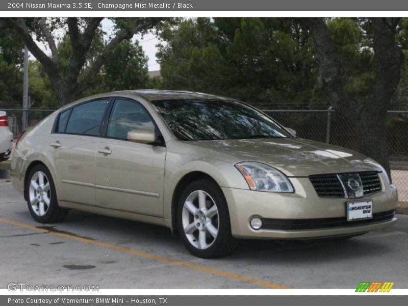 Champagne Mist Metallic / Black 2004 Nissan Maxima 3.5 SE
