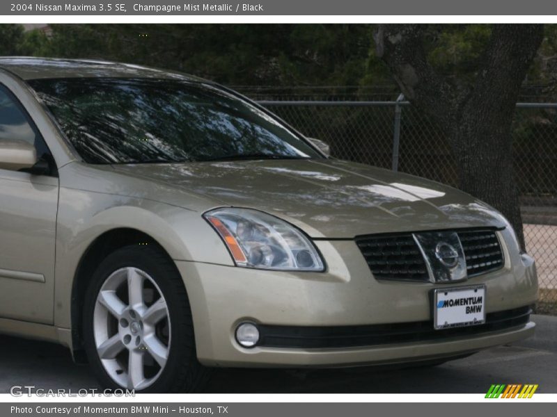 Champagne Mist Metallic / Black 2004 Nissan Maxima 3.5 SE