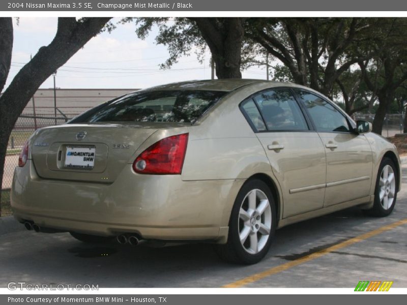 Champagne Mist Metallic / Black 2004 Nissan Maxima 3.5 SE
