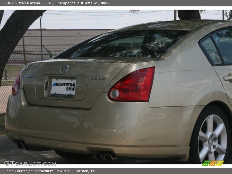 Champagne Mist Metallic / Black 2004 Nissan Maxima 3.5 SE