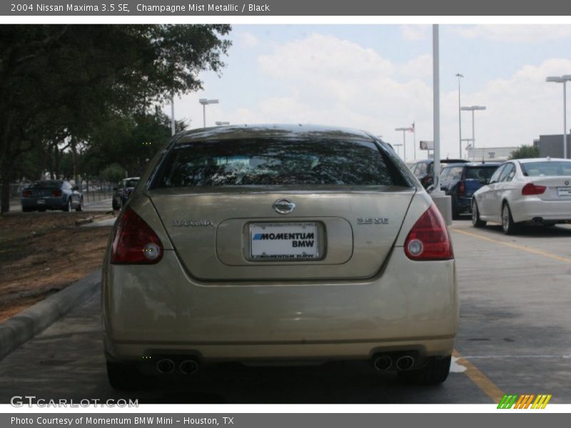 Champagne Mist Metallic / Black 2004 Nissan Maxima 3.5 SE