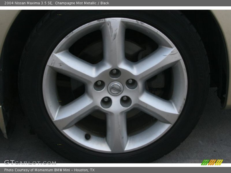 Champagne Mist Metallic / Black 2004 Nissan Maxima 3.5 SE