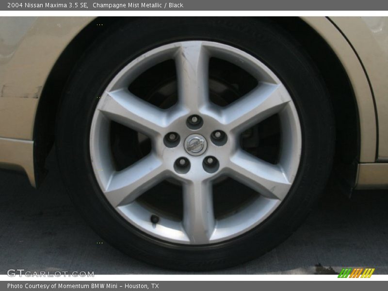 Champagne Mist Metallic / Black 2004 Nissan Maxima 3.5 SE
