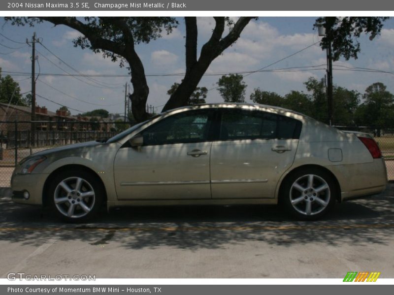 Champagne Mist Metallic / Black 2004 Nissan Maxima 3.5 SE