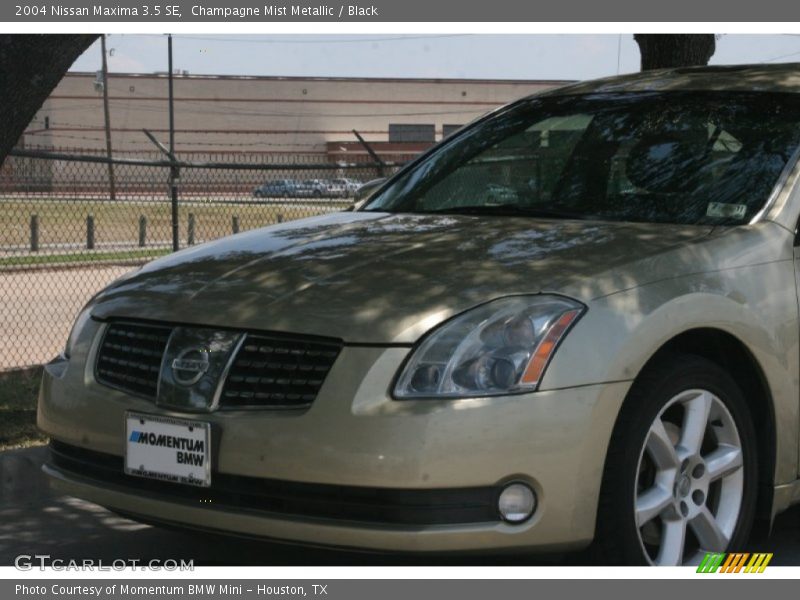 Champagne Mist Metallic / Black 2004 Nissan Maxima 3.5 SE