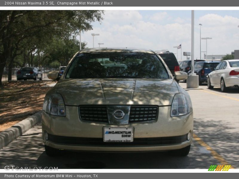Champagne Mist Metallic / Black 2004 Nissan Maxima 3.5 SE