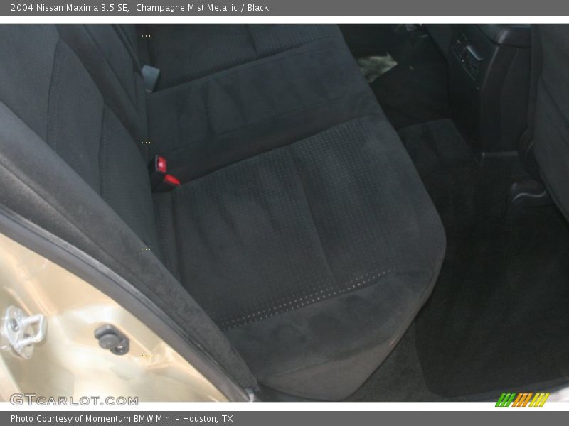 Champagne Mist Metallic / Black 2004 Nissan Maxima 3.5 SE