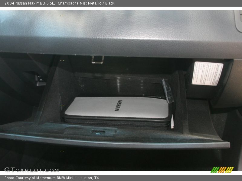Champagne Mist Metallic / Black 2004 Nissan Maxima 3.5 SE