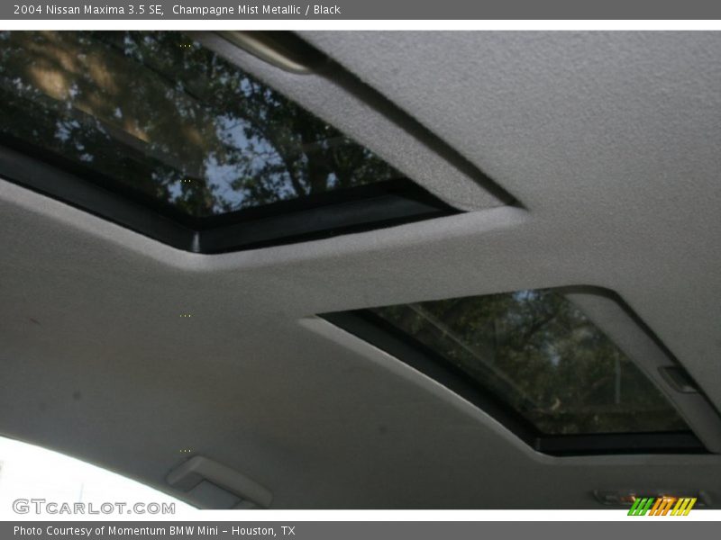 Champagne Mist Metallic / Black 2004 Nissan Maxima 3.5 SE