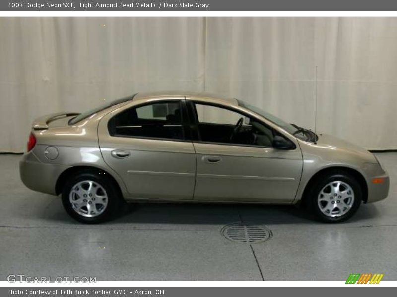 Light Almond Pearl Metallic / Dark Slate Gray 2003 Dodge Neon SXT