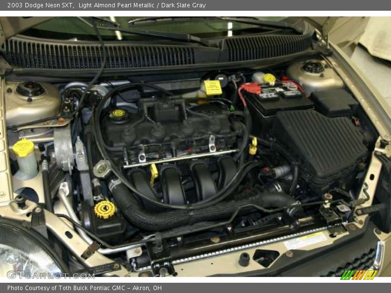 Light Almond Pearl Metallic / Dark Slate Gray 2003 Dodge Neon SXT