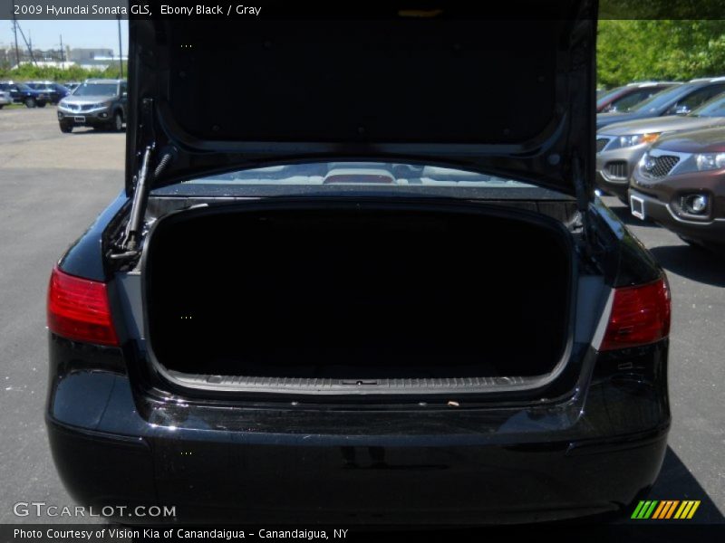 Ebony Black / Gray 2009 Hyundai Sonata GLS