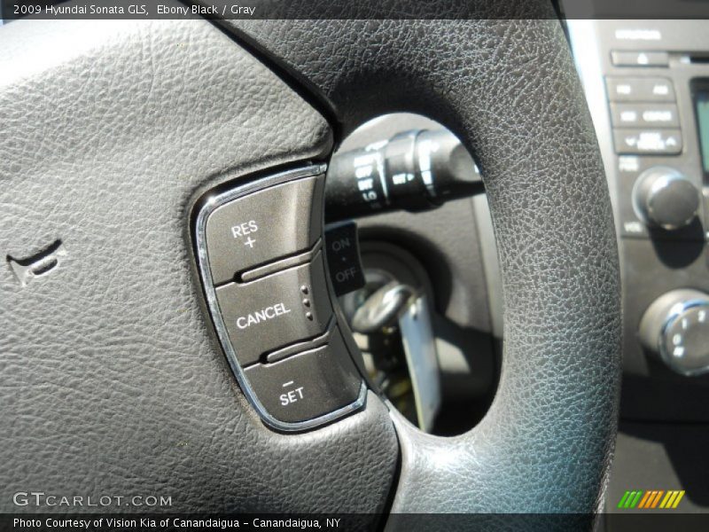 Ebony Black / Gray 2009 Hyundai Sonata GLS