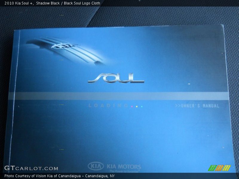 Shadow Black / Black Soul Logo Cloth 2010 Kia Soul +