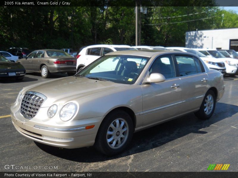 Cream Gold / Gray 2005 Kia Amanti