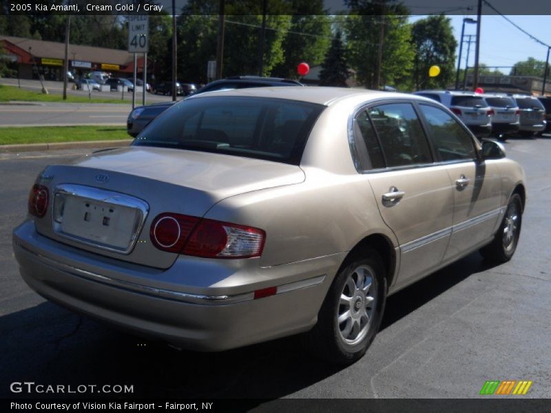 Cream Gold / Gray 2005 Kia Amanti