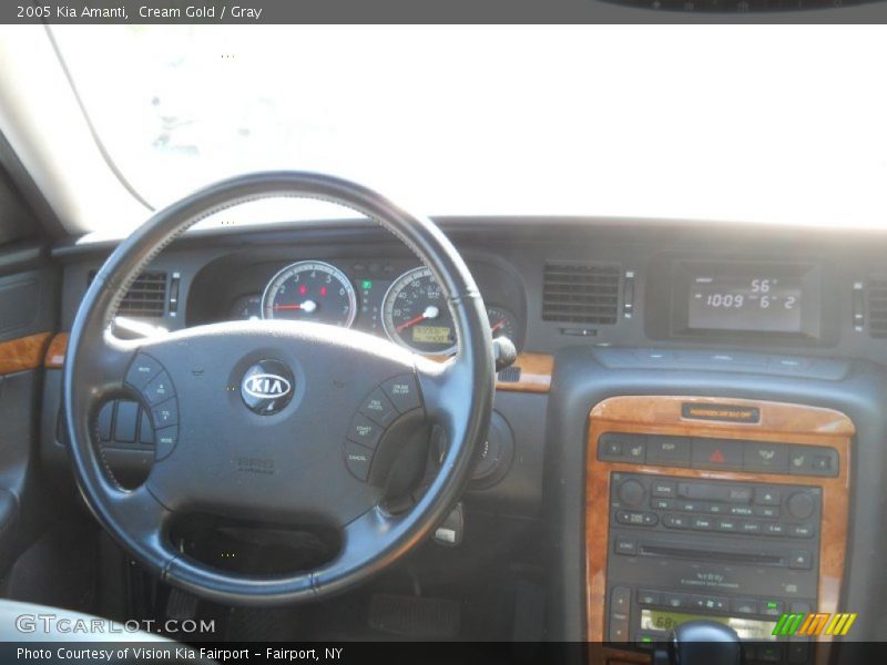 Cream Gold / Gray 2005 Kia Amanti