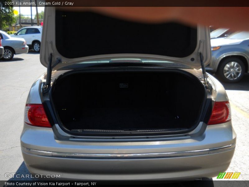 Cream Gold / Gray 2005 Kia Amanti