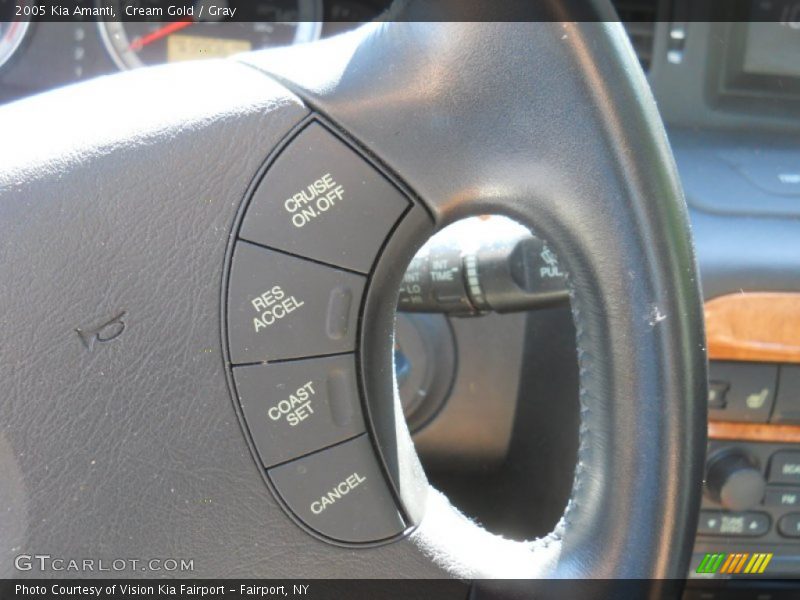 Cream Gold / Gray 2005 Kia Amanti