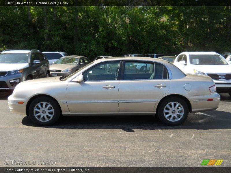 Cream Gold / Gray 2005 Kia Amanti