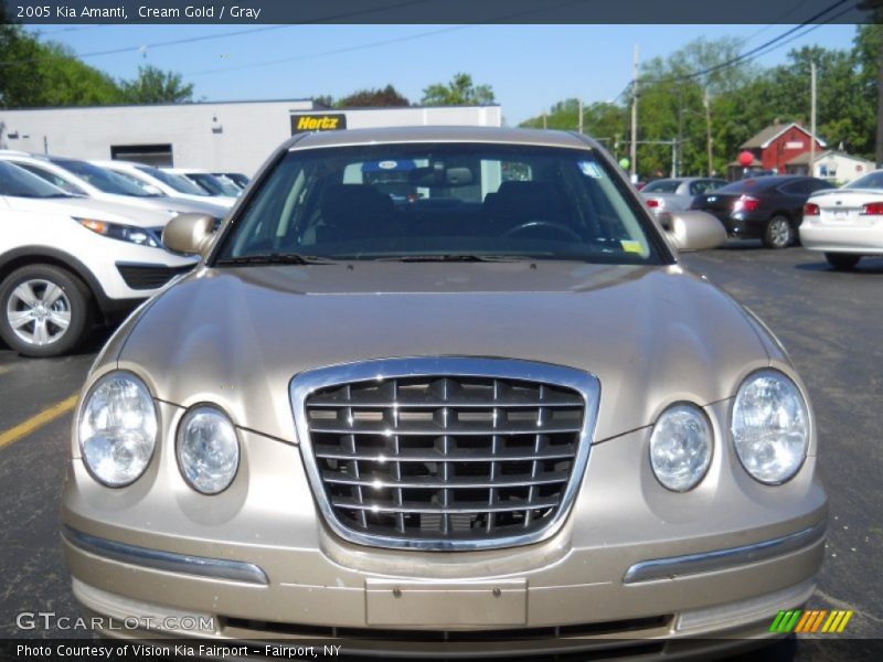 Cream Gold / Gray 2005 Kia Amanti