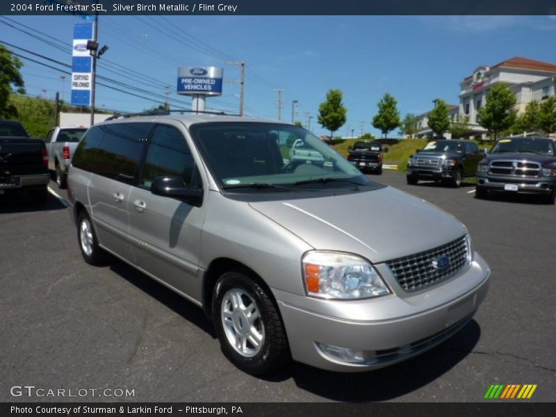  2004 Freestar SEL Silver Birch Metallic