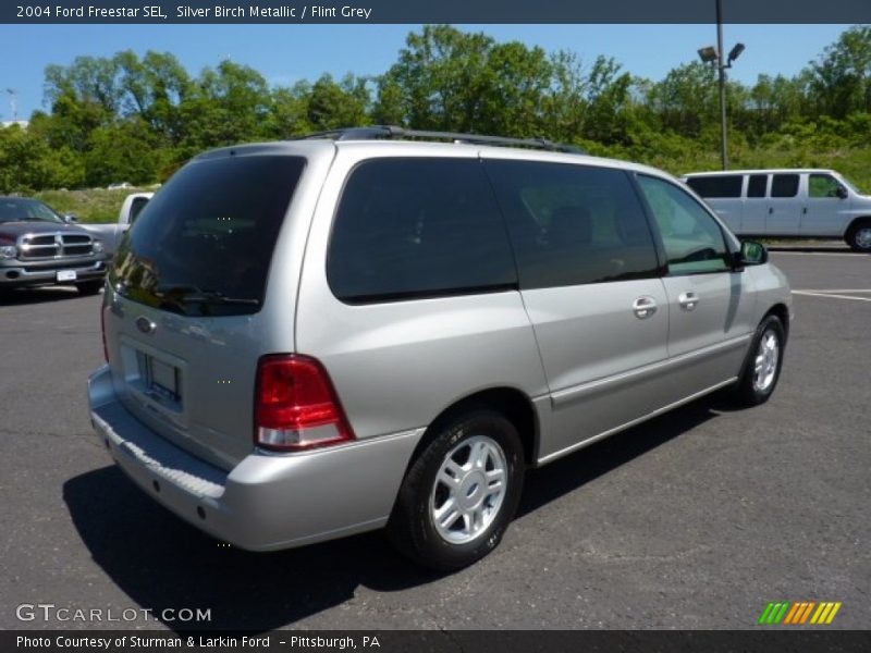  2004 Freestar SEL Silver Birch Metallic